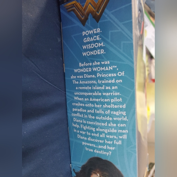 : New Wonder Woman doll Diana prince and hidden sword and holding sheath - Picture 4 of 9